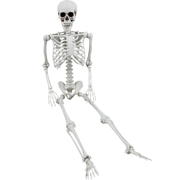 165cm Halloween Skeleton Prop Realistic Full Body Bones with Movable Joints Spooky Decoration