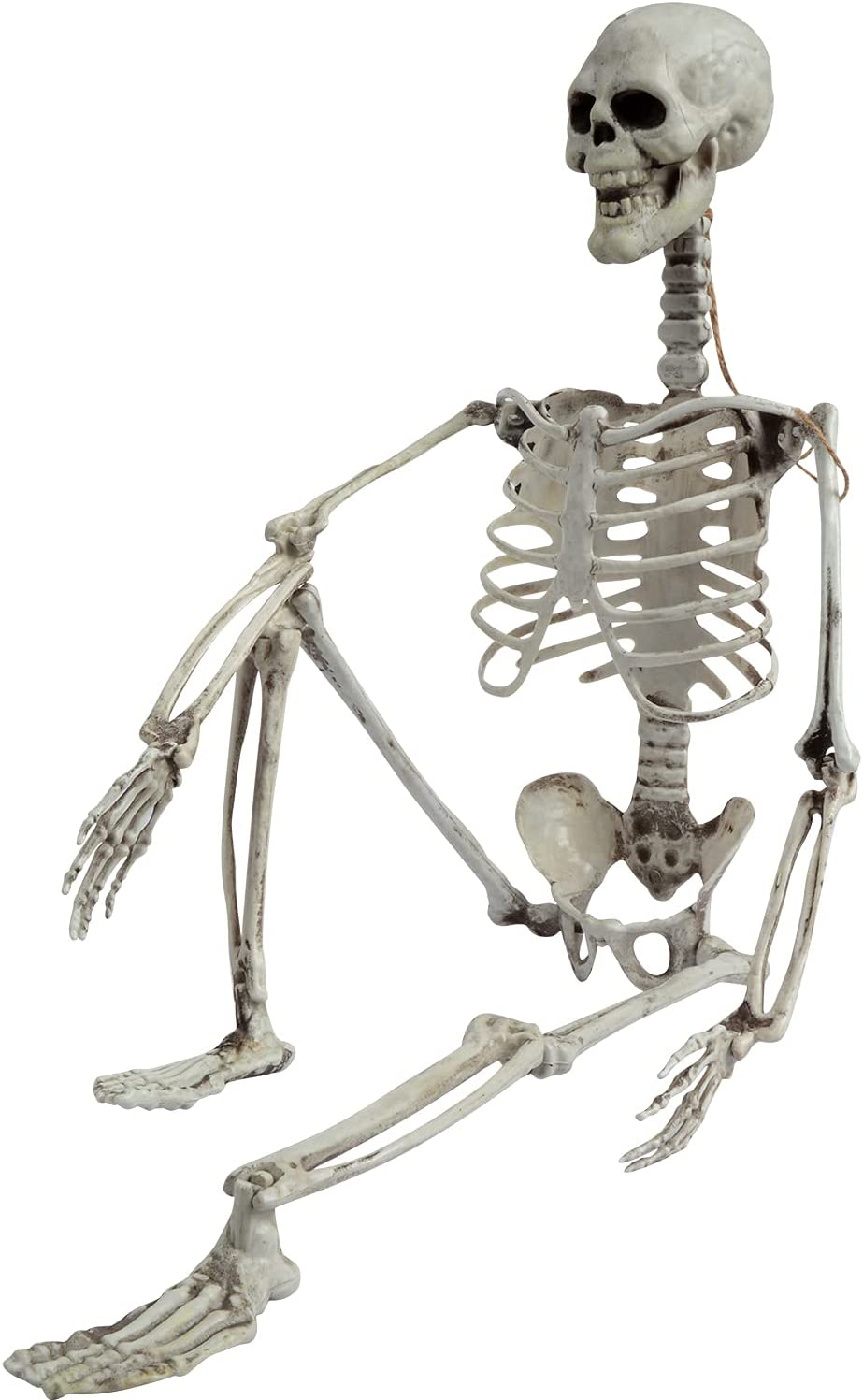 Decorative Skeleton, Realistic Full Body Bones with Movable Joints